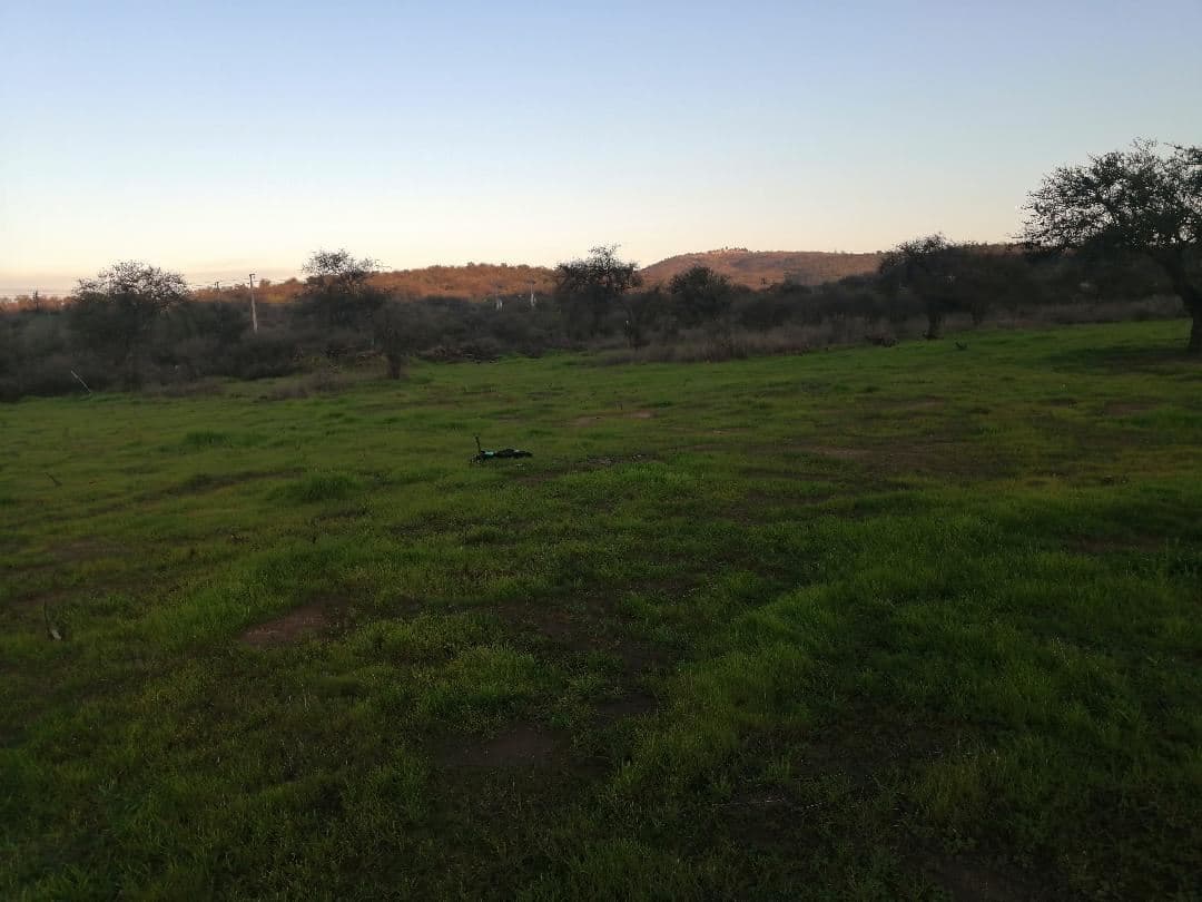 condominio tierra nativa 