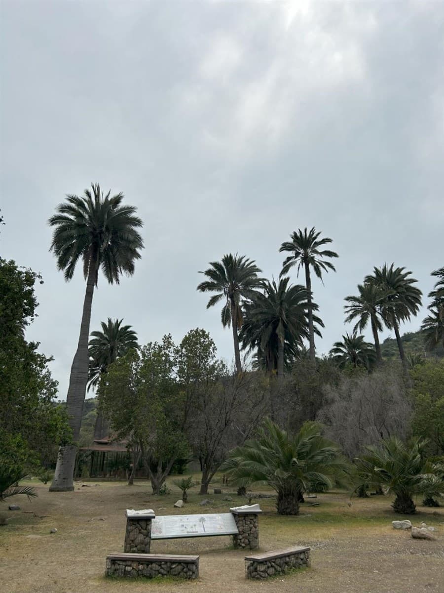 Reserva Oasis la campana, hijuelas