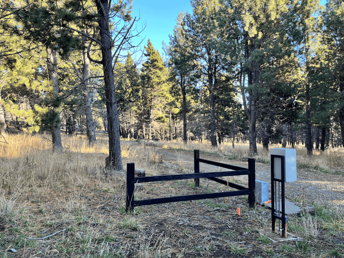 Camino Reserva Coyhaique