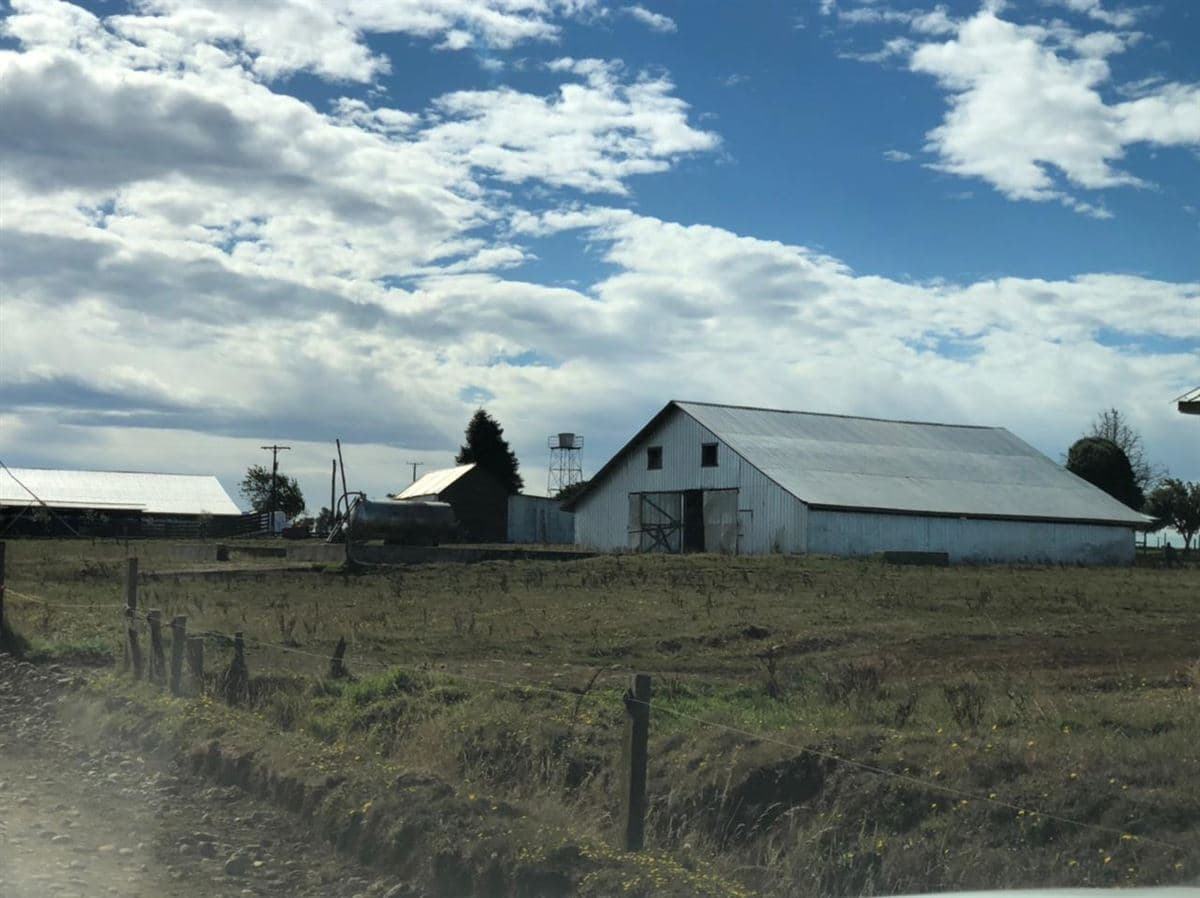 Fundo "RÍO FRÍO", Los Muermos