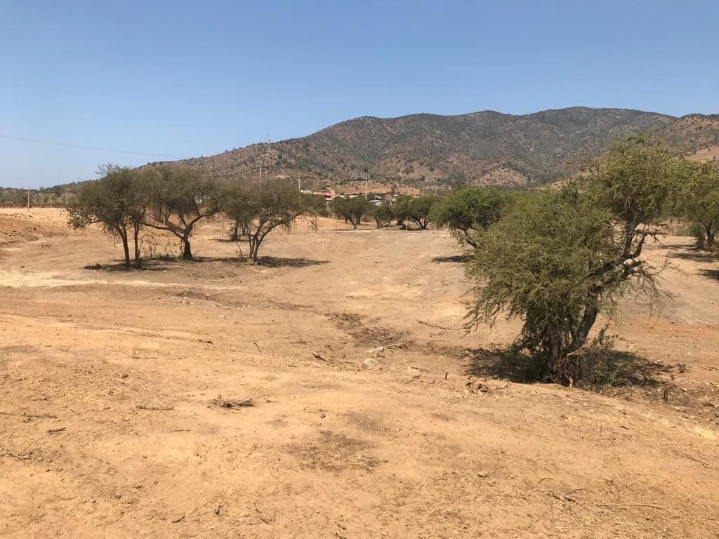 Ruta G-60 # 12517 Parcela N°45