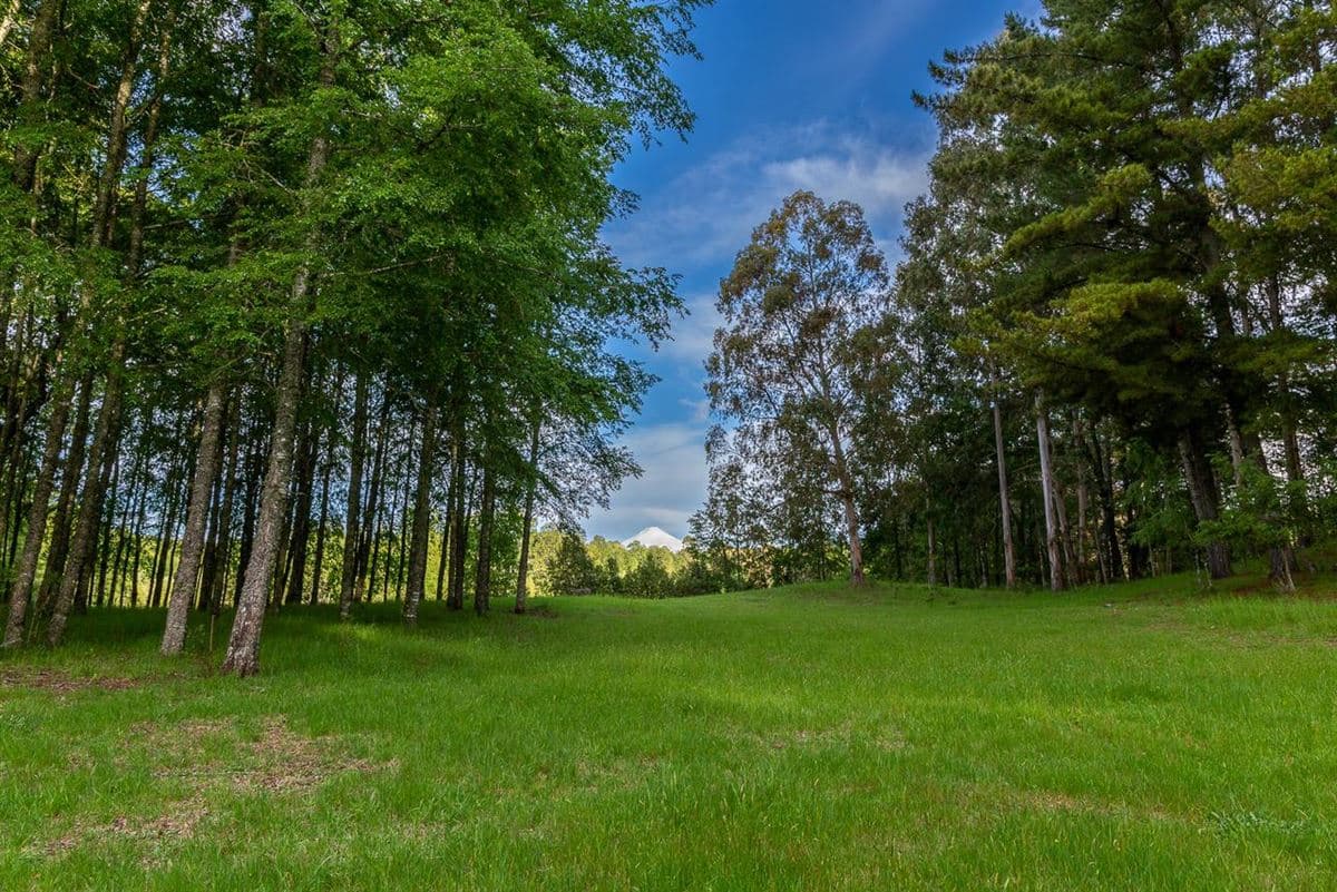 Camino segunda faja km 3.4