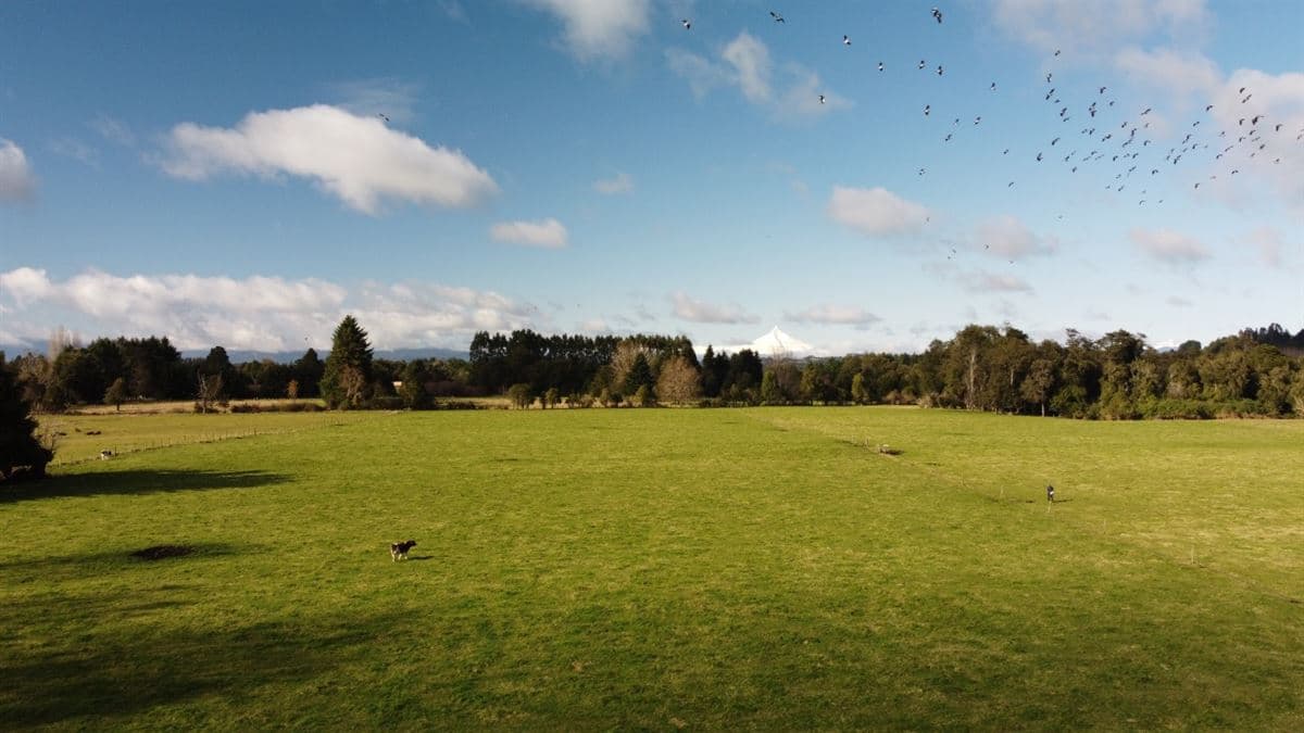 "EL RETIRO", Agua Negra