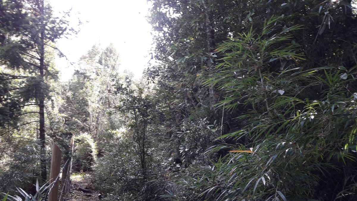 Sector Butalcura, a 10 minutos del aeropuerto, 15 km del centro de la comuna de Dalcahue, Chiloé