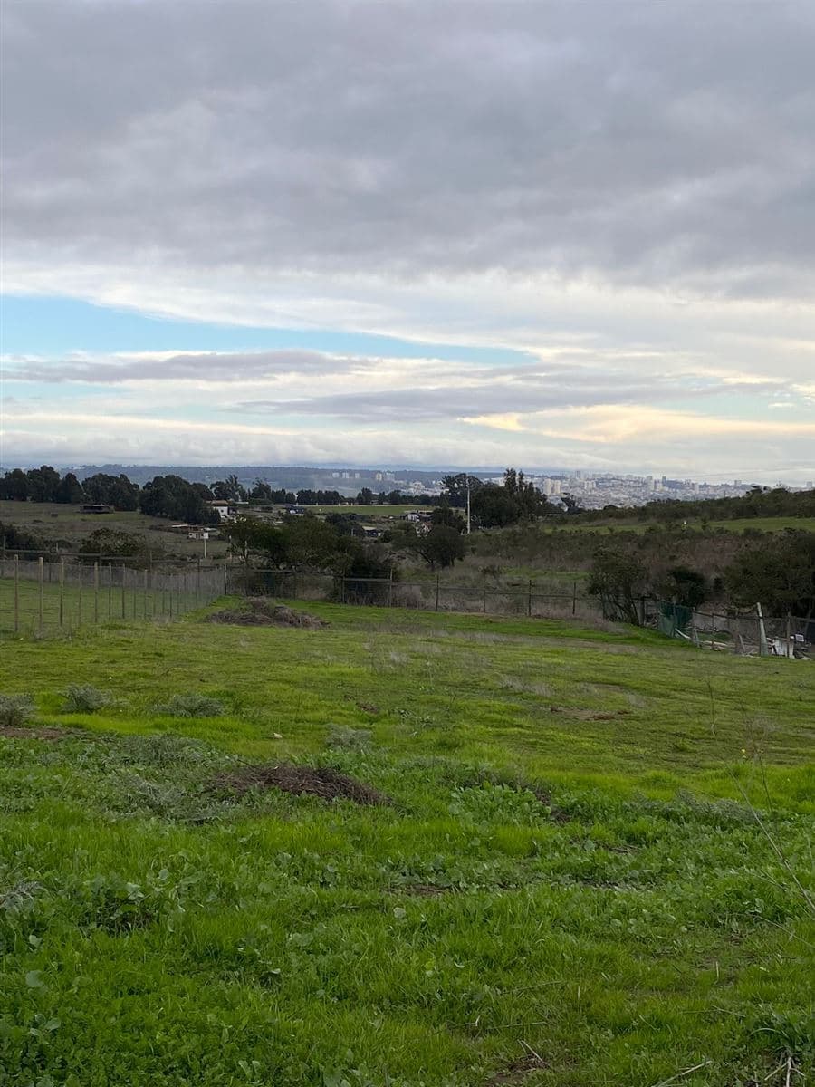 RUTA F 30 - E alt 12200 sector Mantagua