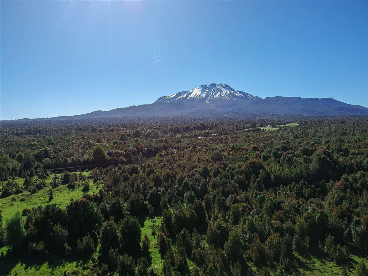 Campo de 20 Ha en sector Río Pescado, a 8,5km desde la ruta 225