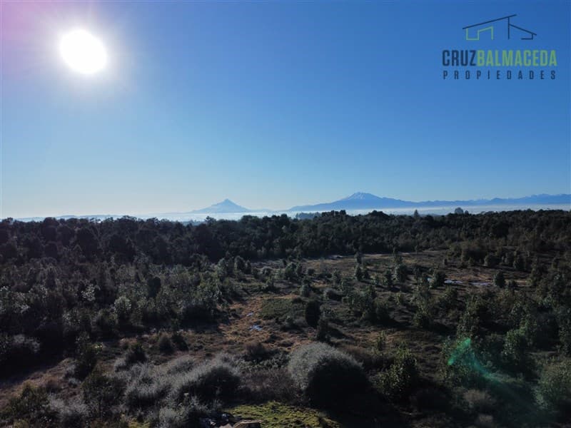 50 hectáreas en Alto Bonito