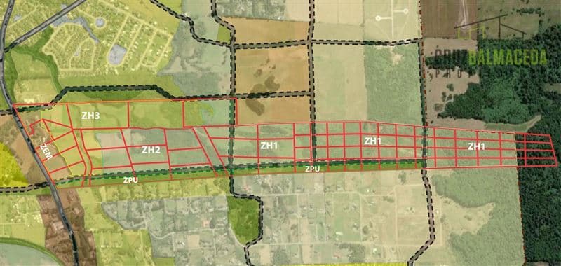 Camino a Alerce, cercano a Las Bahías