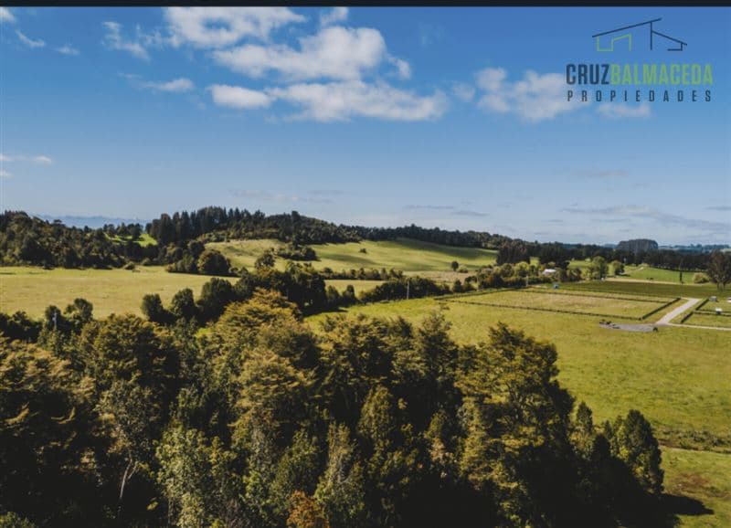 Venta de parcelas camino a Loncotoro km 6,7