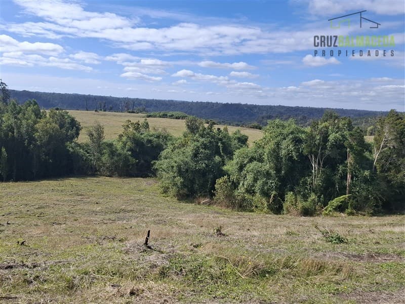 campo de 310 hectáreas con orilla del Río Puntra