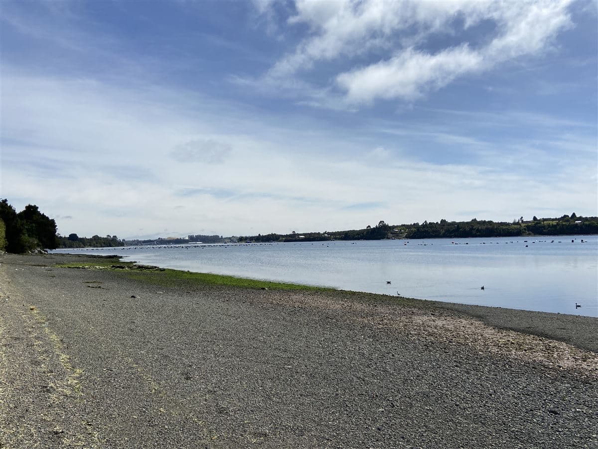 Parcela de 1 Há y con 2 casas. Con Orilla de Playa y al costado del camino Caicaén- Calbuco