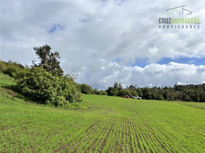 Ubicada en el sector El Mañío, a 1.5 km de la carretera que une Estaquilla y Los Muermos