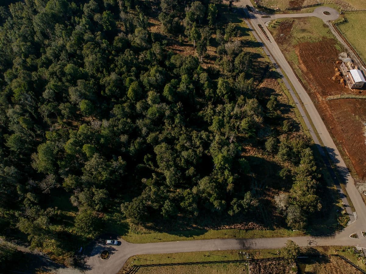 Reserva Santa Clara II, Línea Nueva