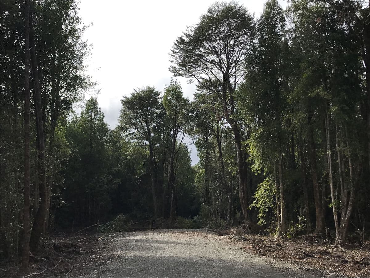 Parcelas en Sector Piedra Azul Alto 