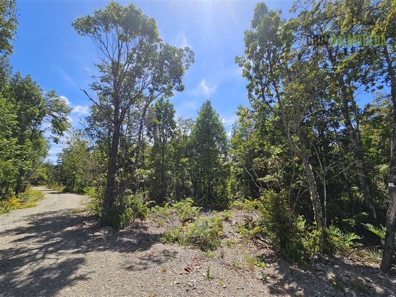 Parcela en Puerto Varas. Bosques del Tepual
