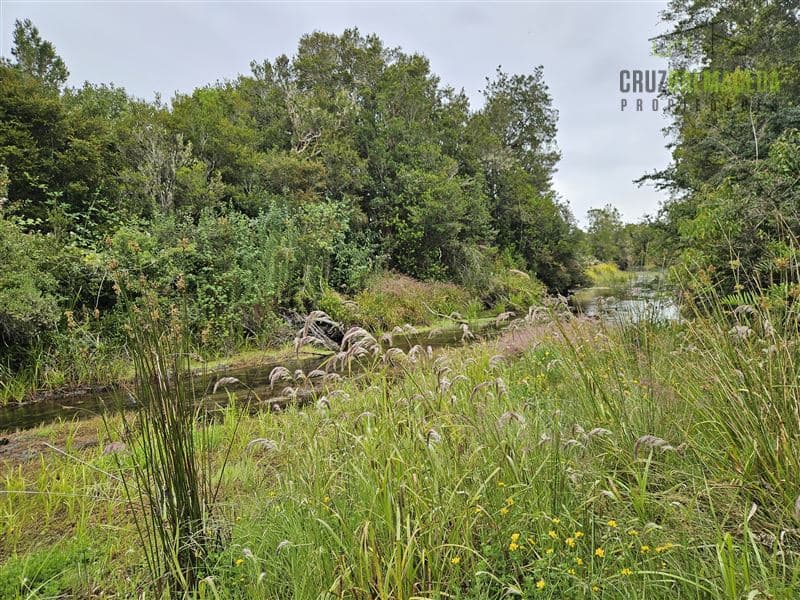 Parcelación Rio Trapen