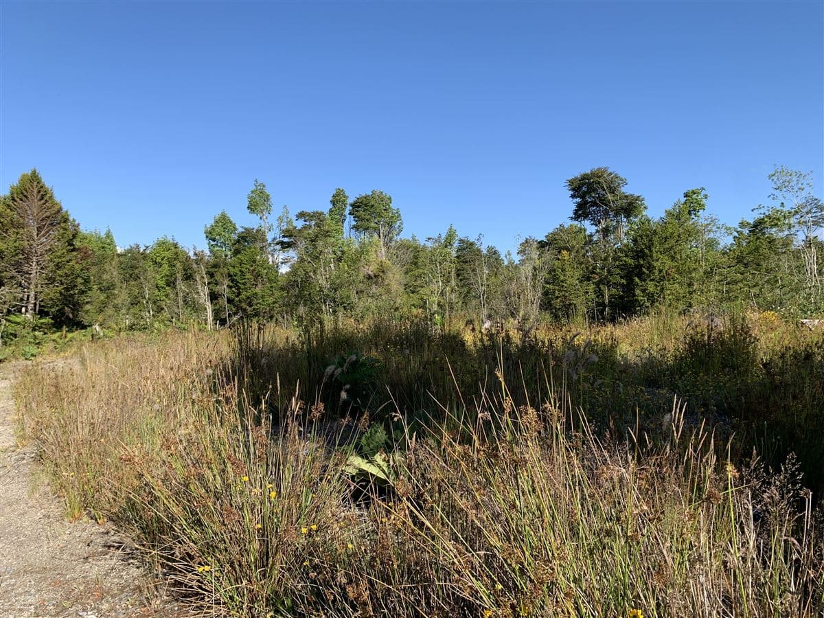 Venta de 12 hectáreas en Colonia 3 Puentes