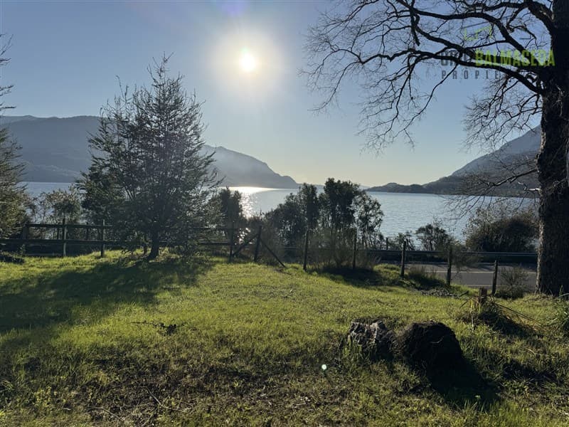 Reserva Paillahuinte, Lago Panguipulli