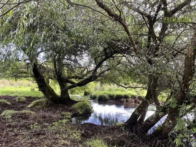 Colonia San Martin a 3,2 kms de la Ruta 5 Sur y 20 min de Frutillar