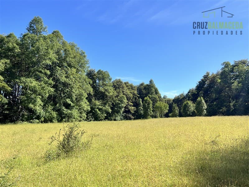 12 hectáreas. Servidumbre al campo esta dentro del pueblo de Cañitas
