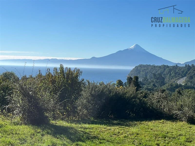 Puerto Rosales
