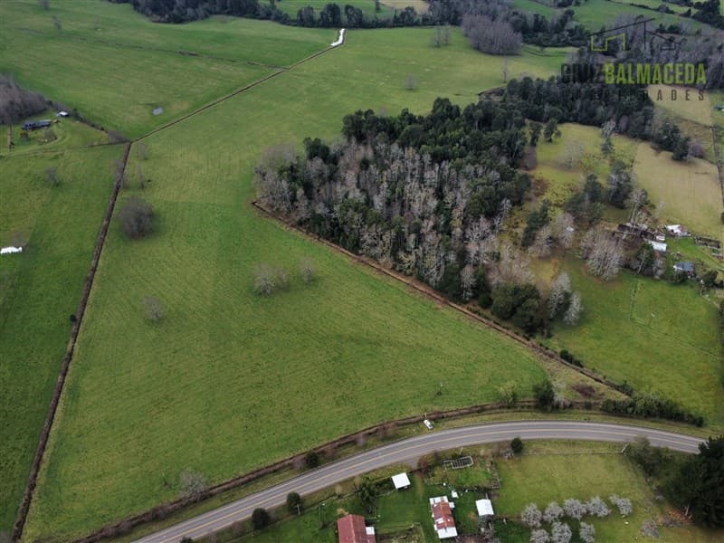 Campito de 5 hectareas a 25 min de Rio Bueno y 19 min de Lago Ranco