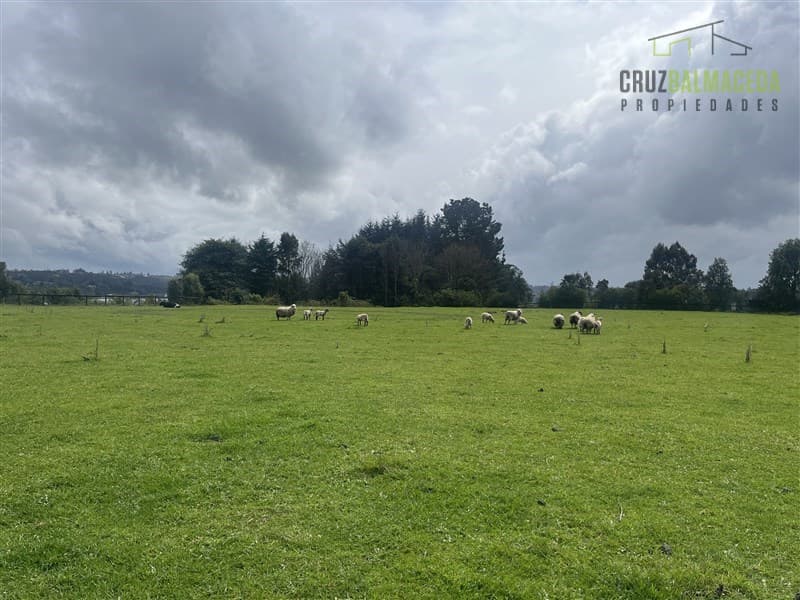 A solo 1 km de Frutillar, salida a Punta Larga 