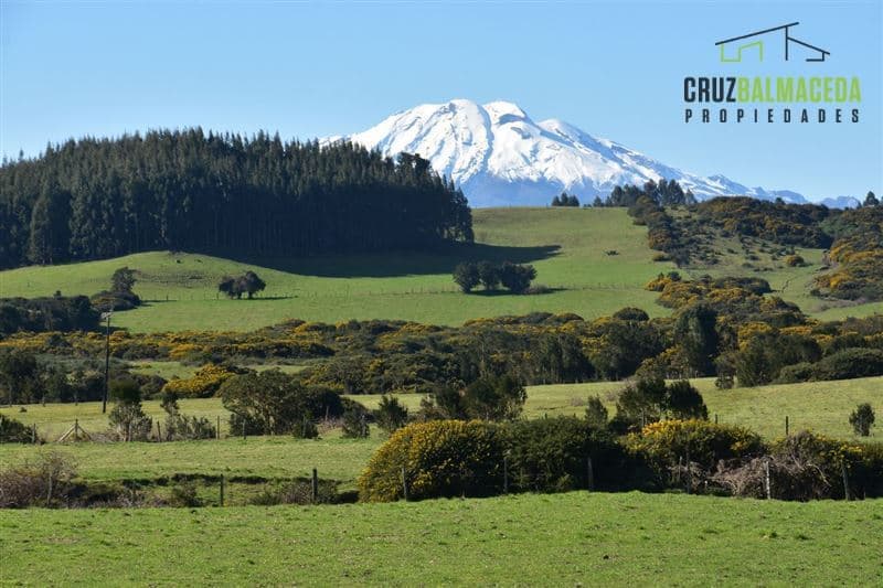 Cercano a Puerto Chico