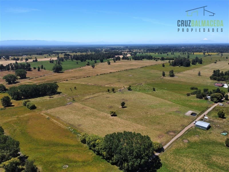 169 hectareas a 1 km de ruta T-851, 15 minutos de Rio Bueno.