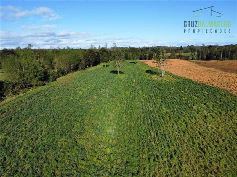 A menos de 2 km de Cañitas