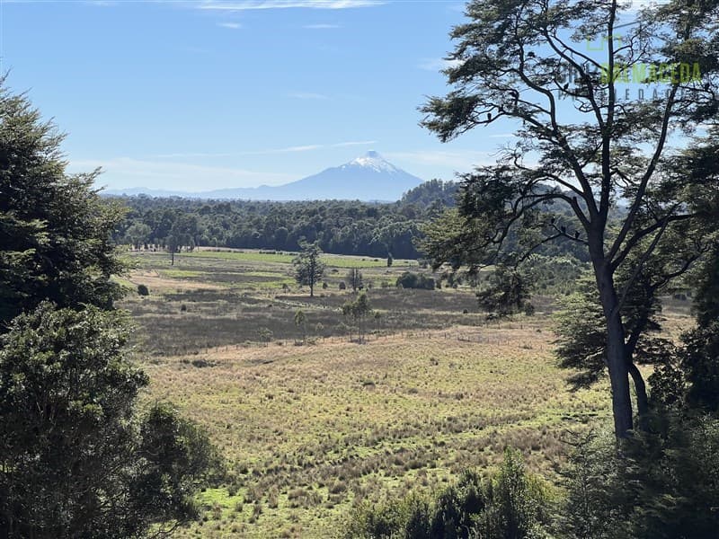 12,5 hectáreas a orilla de la ruta V-60 a 4 kms del Aeropuerto y 20 minutos de Puerto Montt