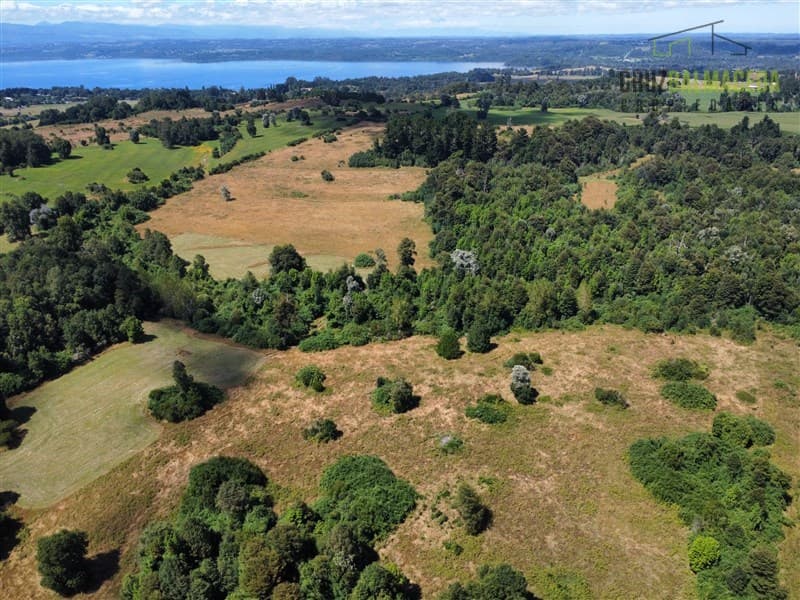 22 hectareas a 20 minutos de Entrelagos y 15 minutos de la desembocadura del lago Rupanco