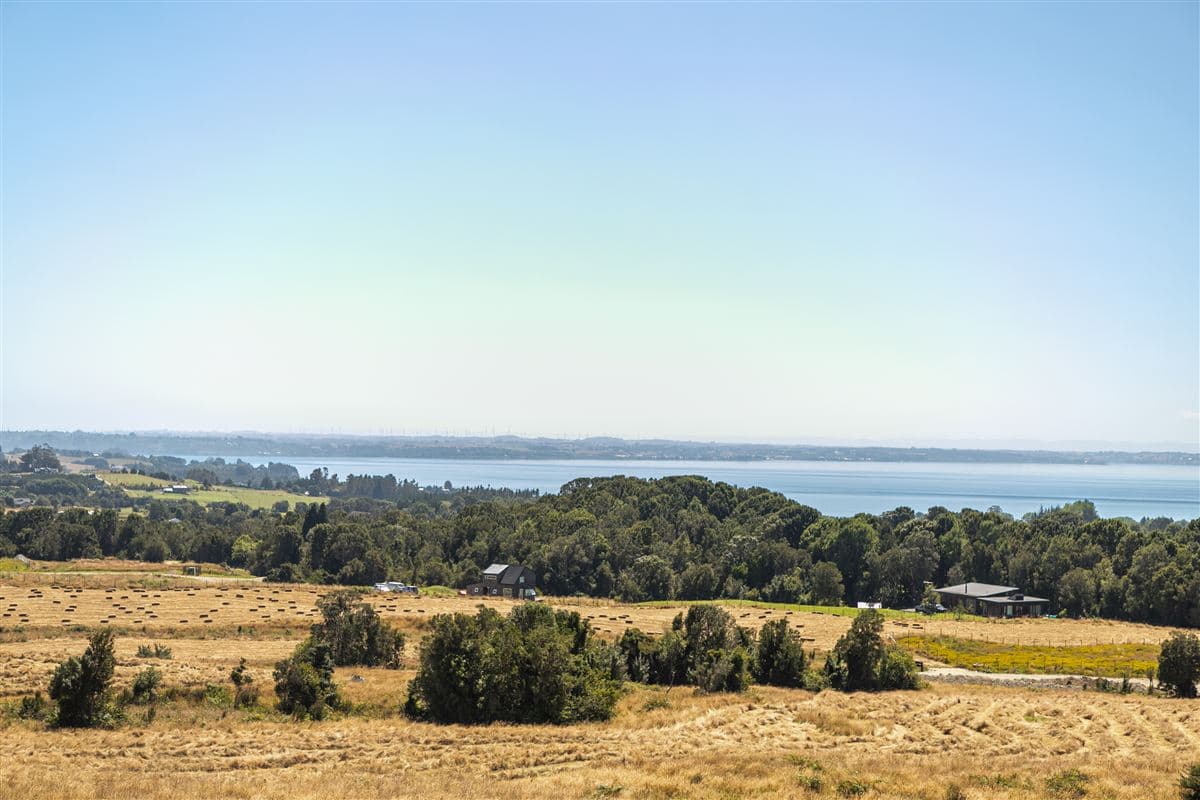 Cumbre de Los Volcanes, km 8 ruta 225 camino a Ensenada.