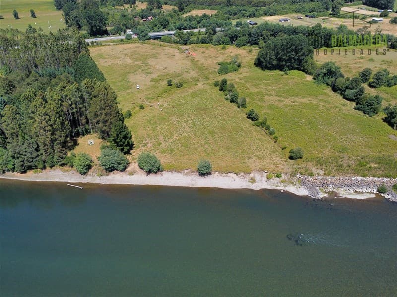 Subdividido en 6 parcelas, orilla Río Calle Calle a 20 minutos de Valdivia