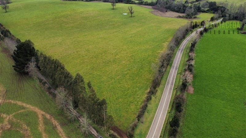 Campo de 31,8 ha a orilla de ruta asfaltada V-300 y a solo 9km de Fresia.