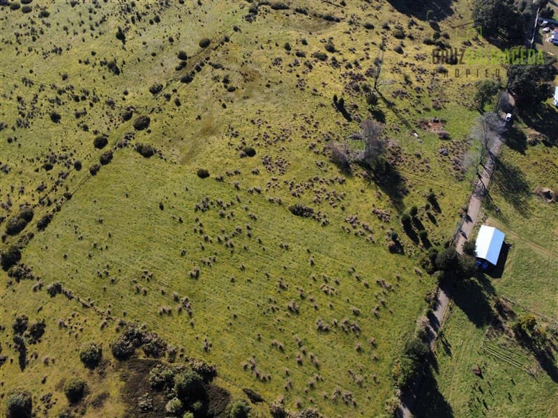 A solo 5 minutos de Los Muermos