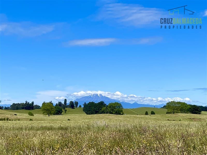 Fundo Llanquihue, a 5 minutos de Nueva Braunau