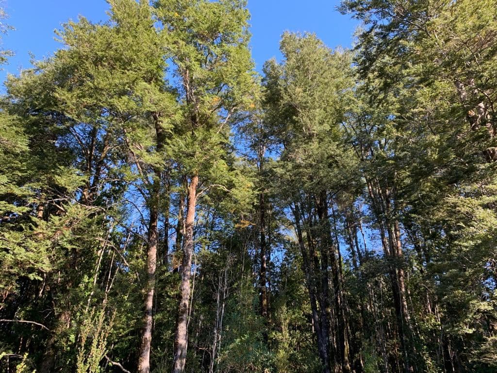 57 Hectáreas cercano a Ensenada