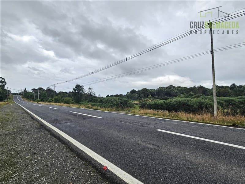 A pocos metros de la Ruta 5