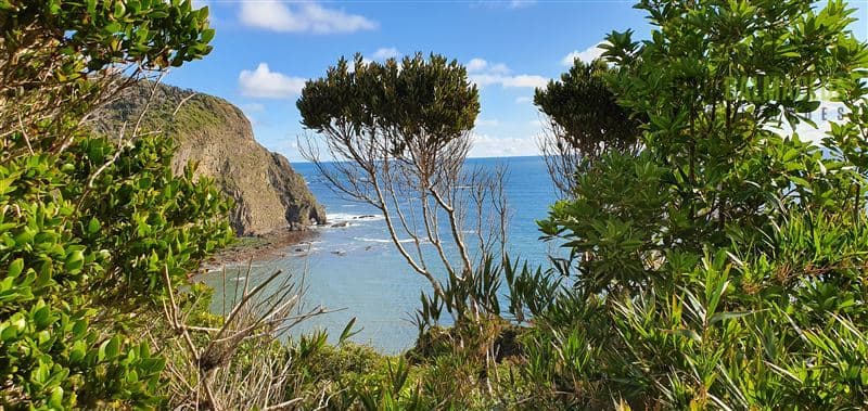 Estaquilla, Río Juancho, frente al mar
