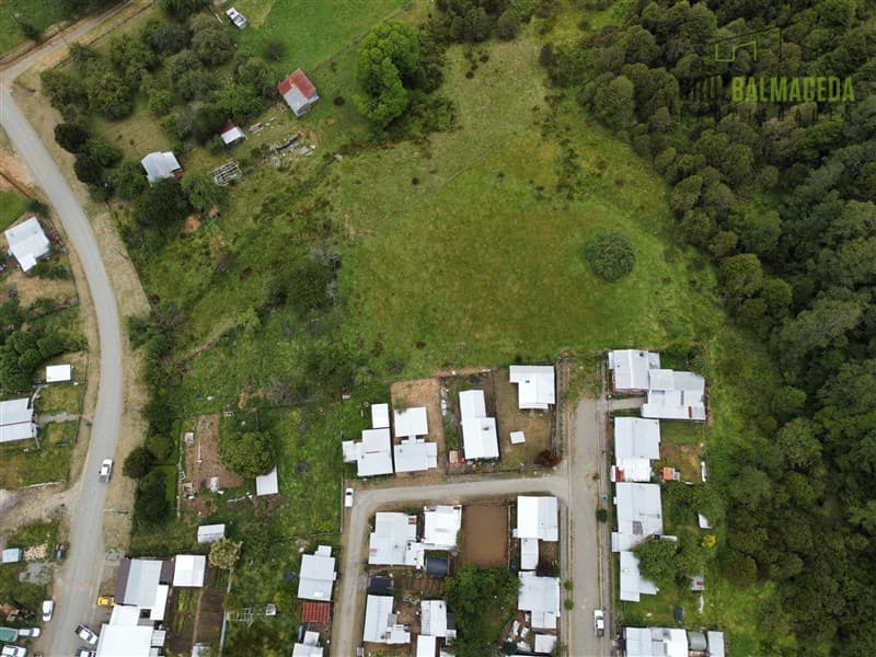 En radio urbano de Cañitas, a pocos metros de la ruta que une con Los Muermos.