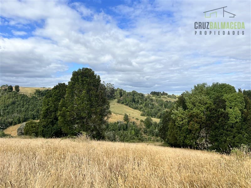 9 hectareas a 20 minutos de Los Muermos, a 700 metros de la ruta V-522.