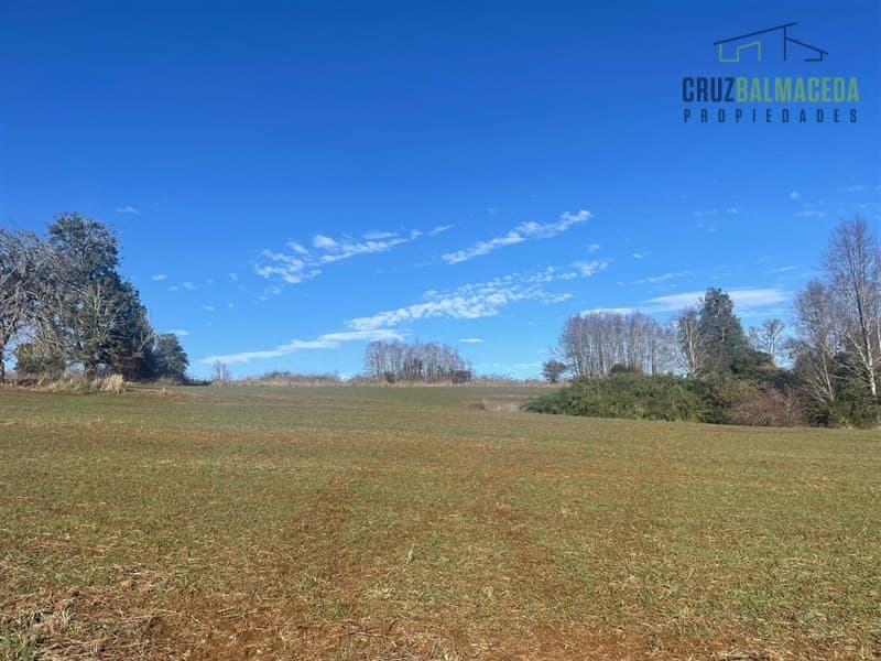 Ruta U-592 a 10 km de Rio Negro