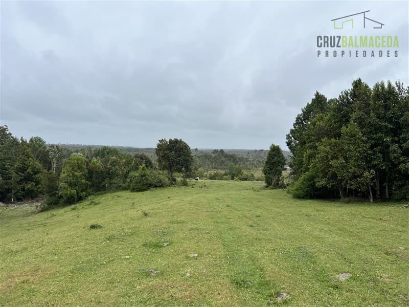 Sector Daitao, a 16 km de ruta V-891.