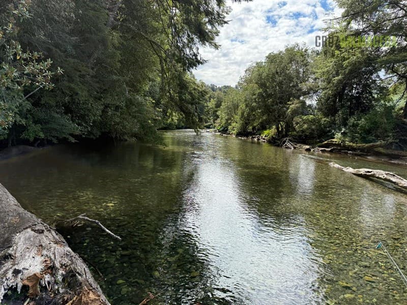 Puerto Octay, a 1hr 20 de Puerto Varas