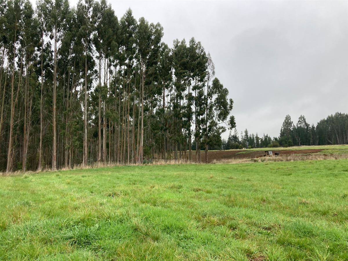 Parcelacion Brisas de Puerto Varas 