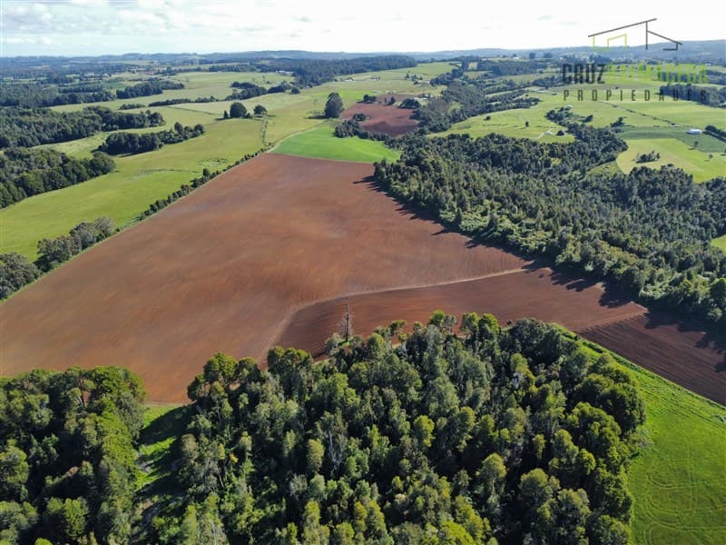169 hectáreas, camino San Carlos km 3, a solo 10 min de Los Muermos