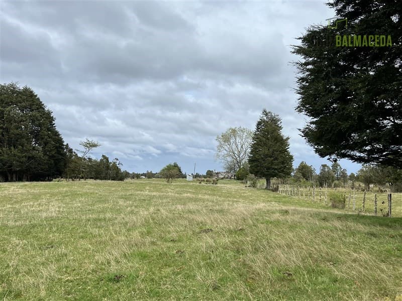 Colonia El Gato, cercano a Monteverde