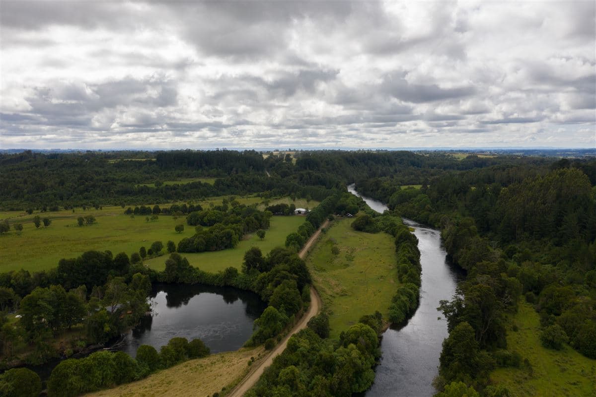 Orilla del Río Maullín