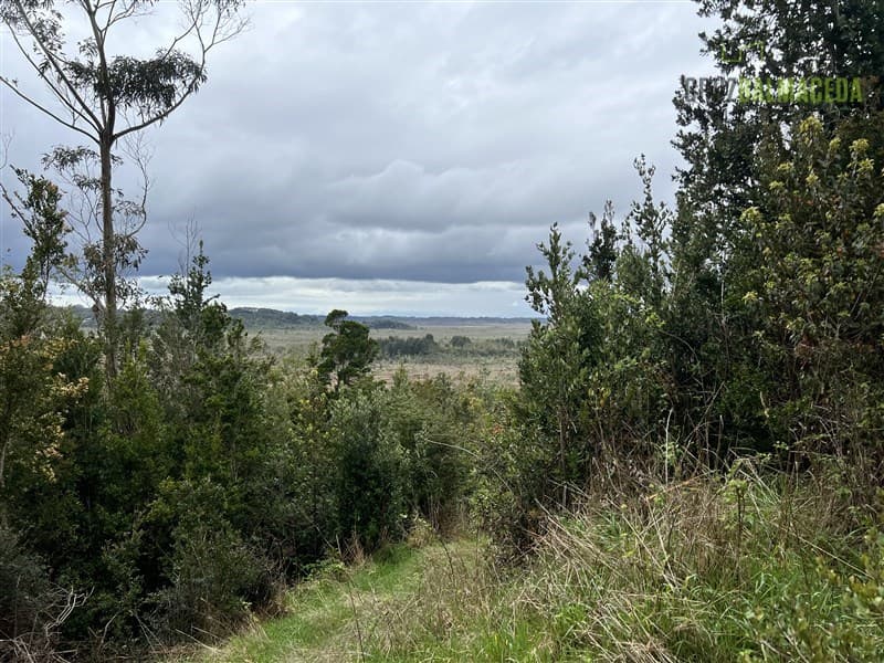 Trapen, ruta San Antonio